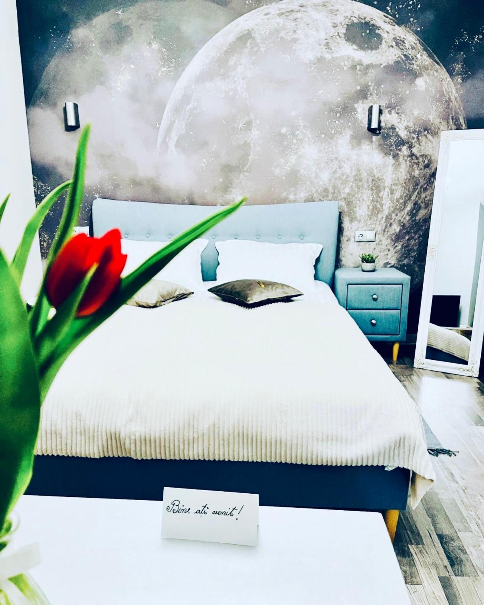 Moon And Sun Apartments Sibiu Bagian luar foto