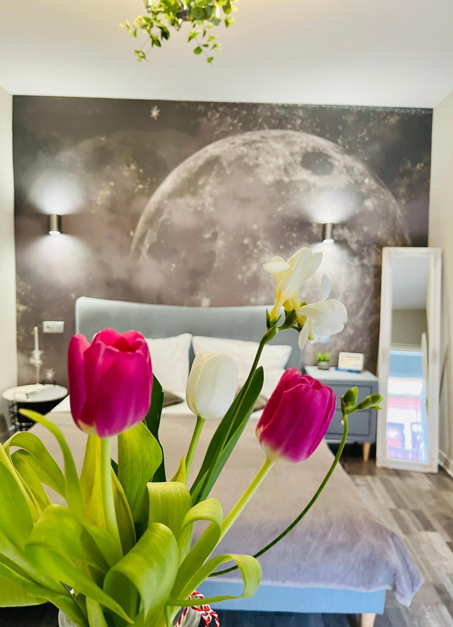 Moon And Sun Apartments Sibiu Bagian luar foto
