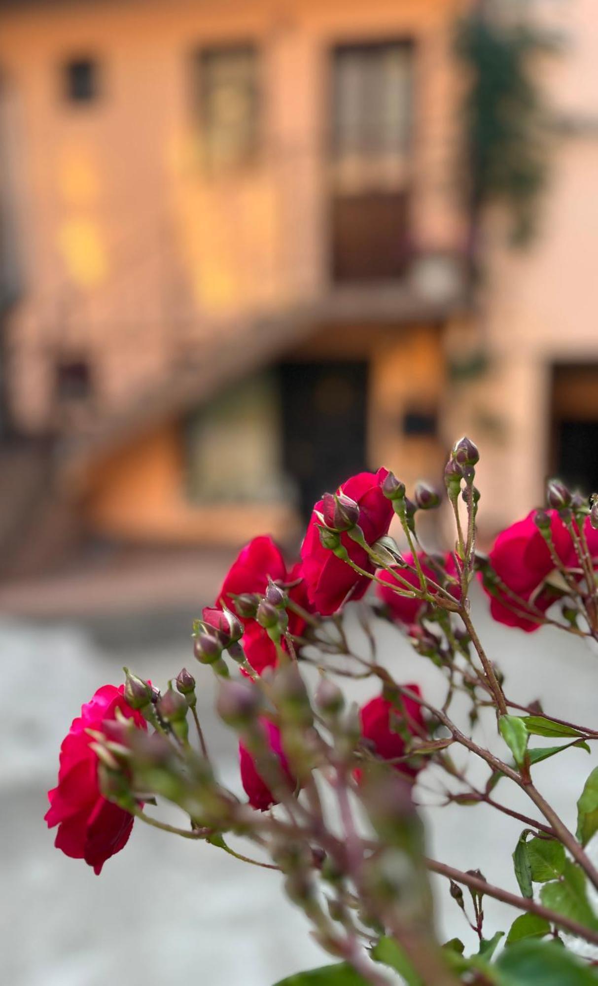 Moon And Sun Apartments Sibiu Bagian luar foto
